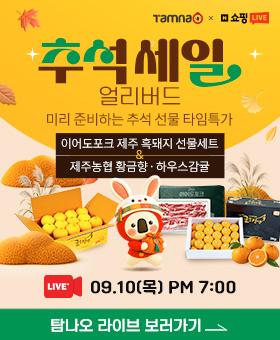 26년 7차 라이브