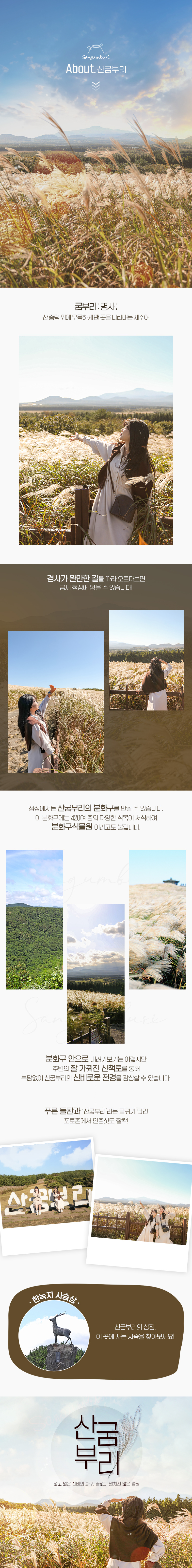 상품설명