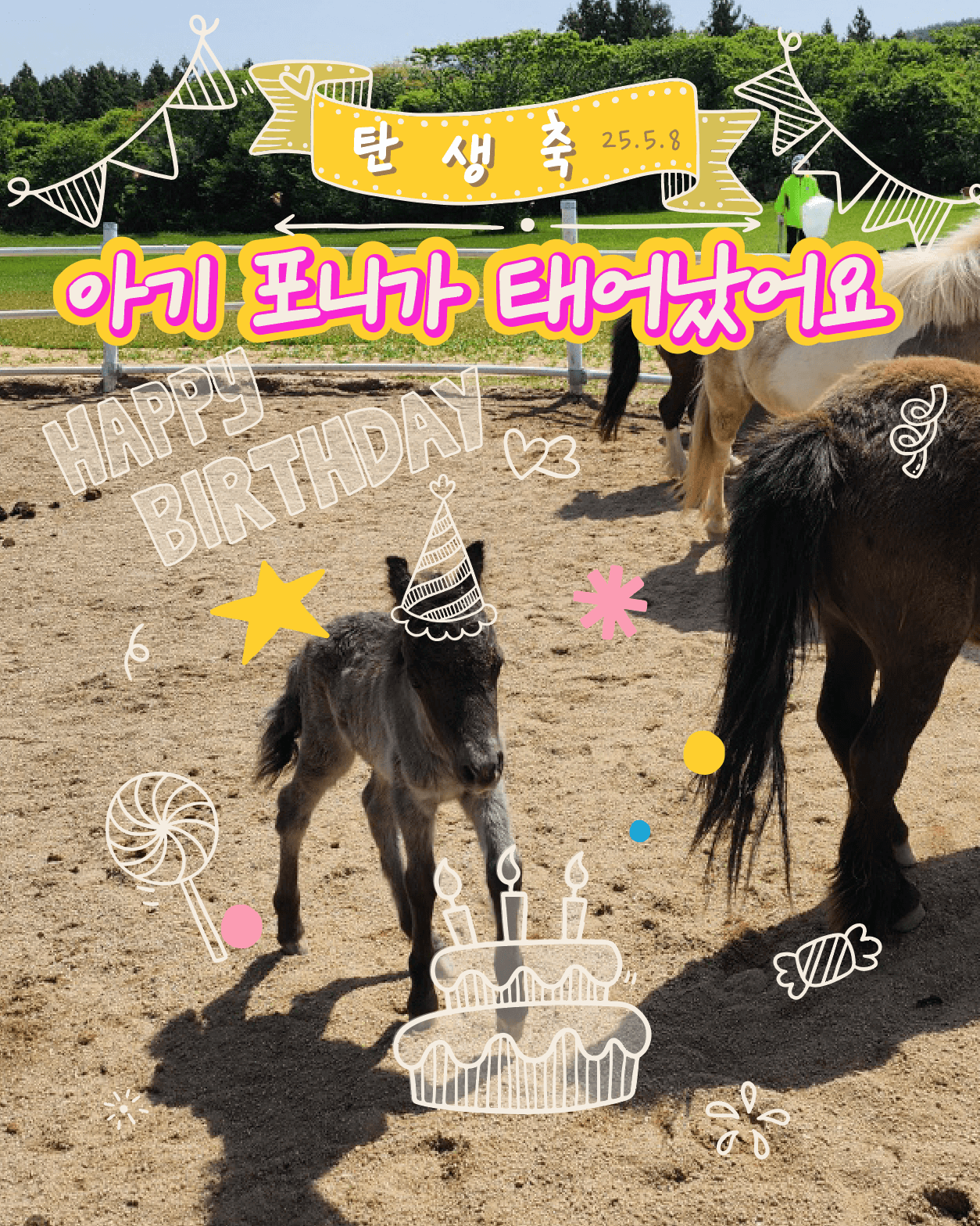 상품설명
