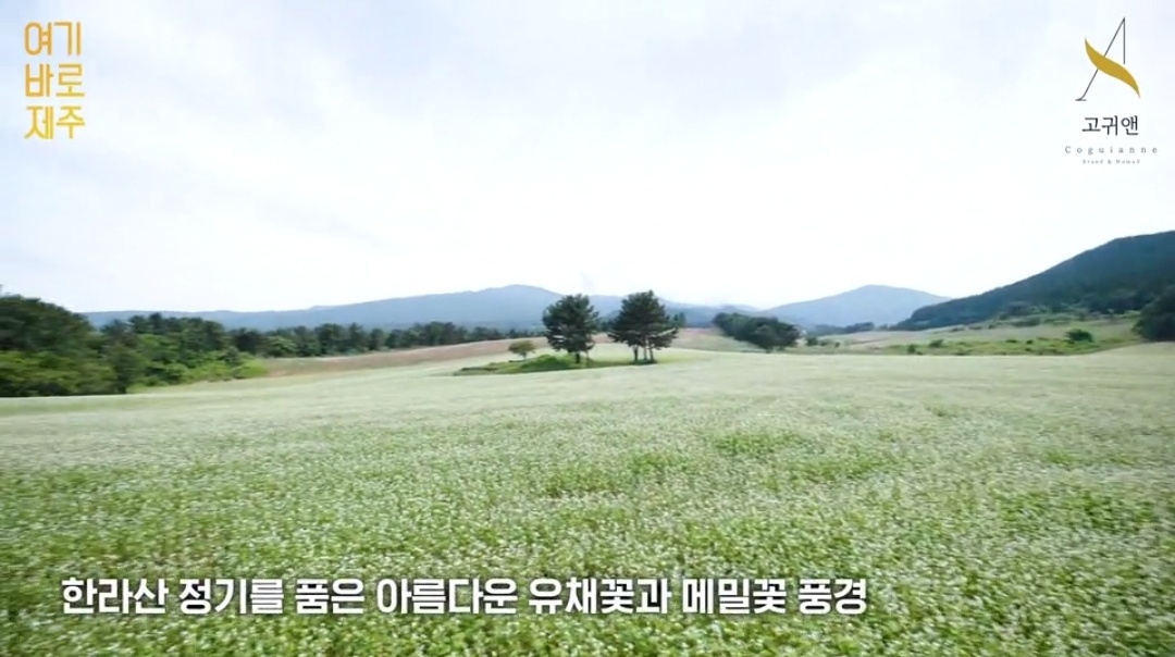 상품상세