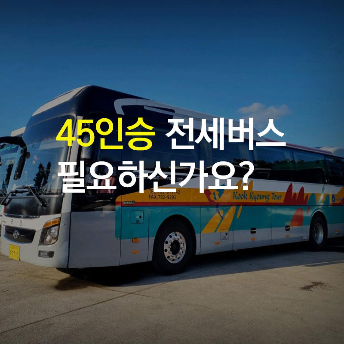 45인승 대형버스+전용기사