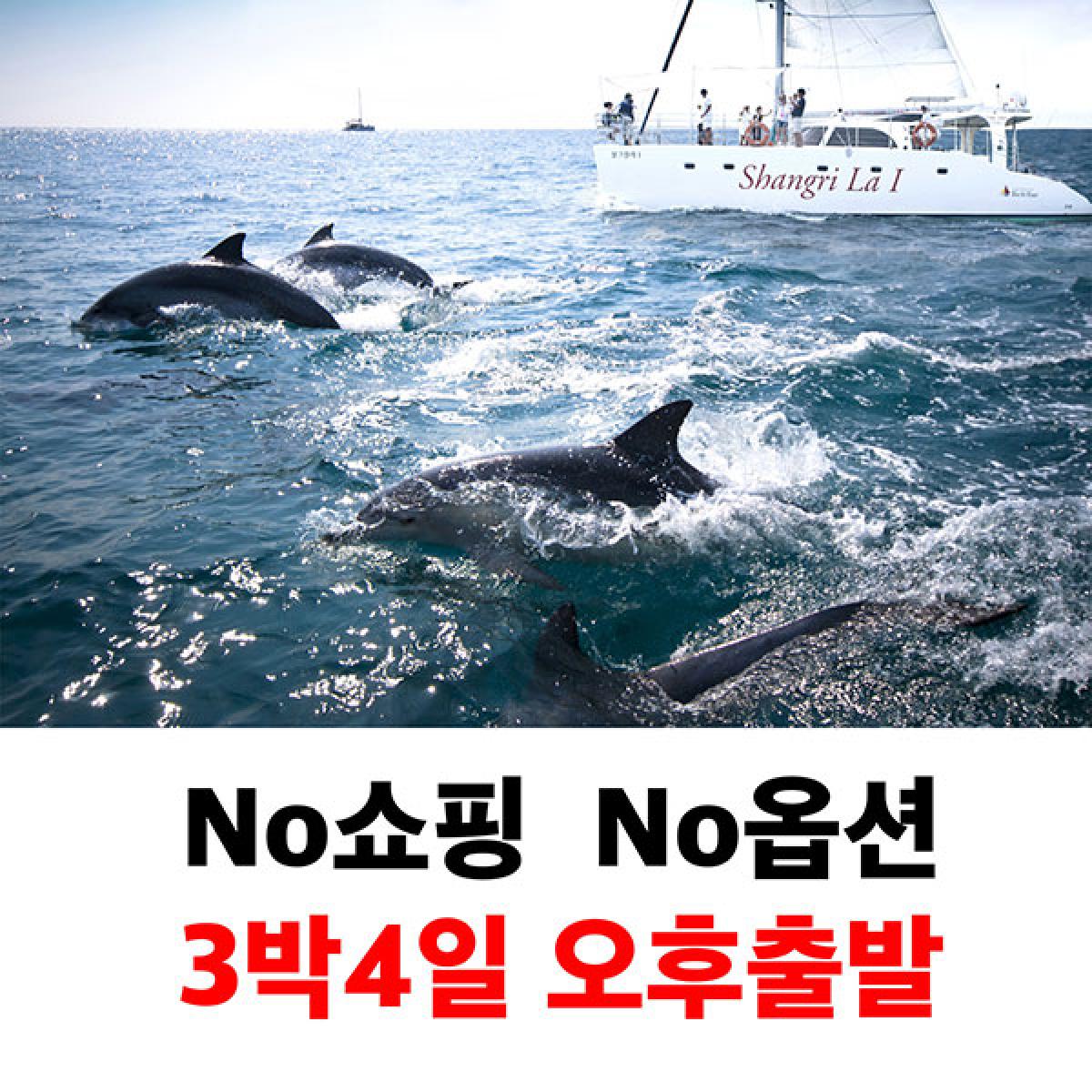 제주도패키지여행 노쇼핑 노옵션 3박4일 오후출발 효도
