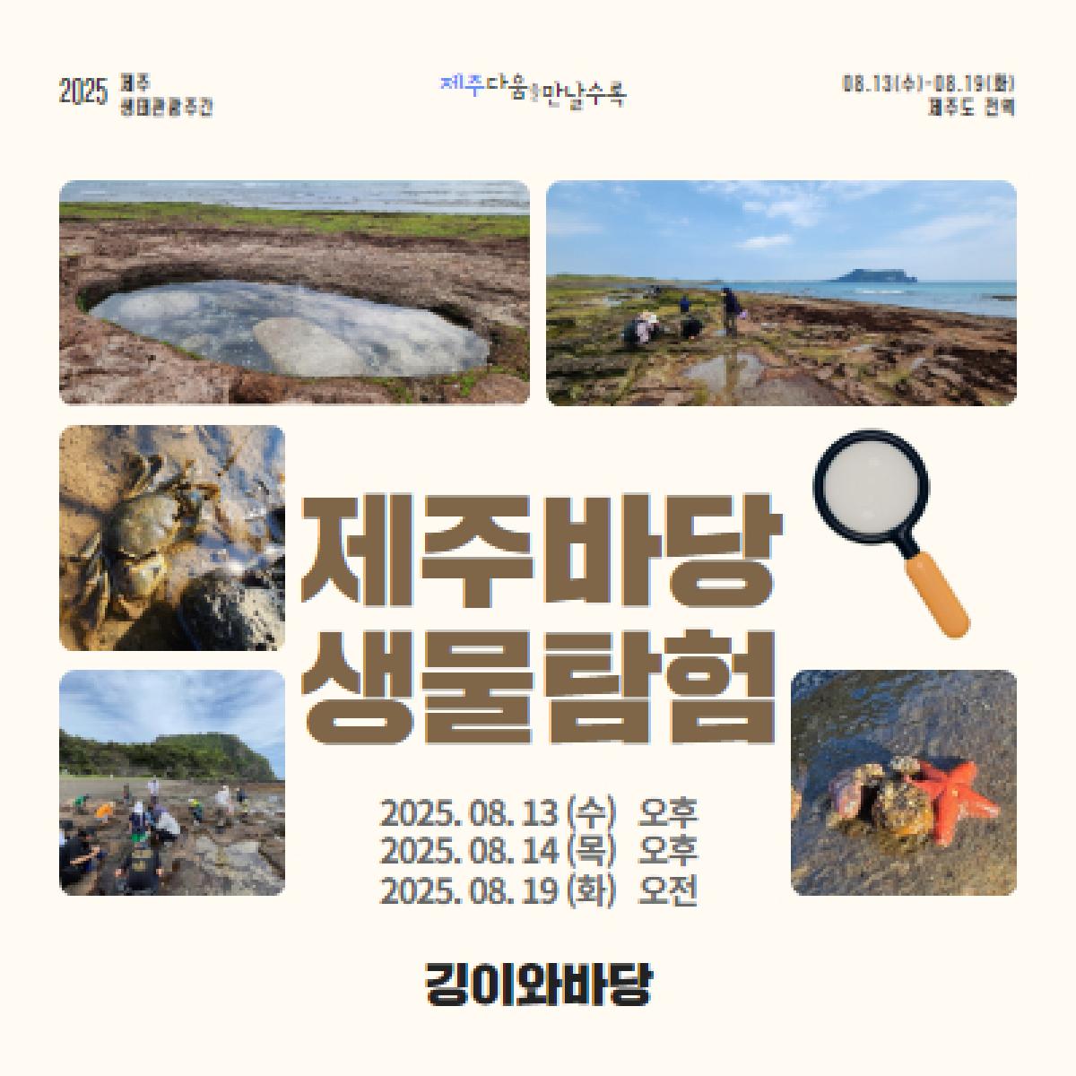 제주바당 생물탐험
