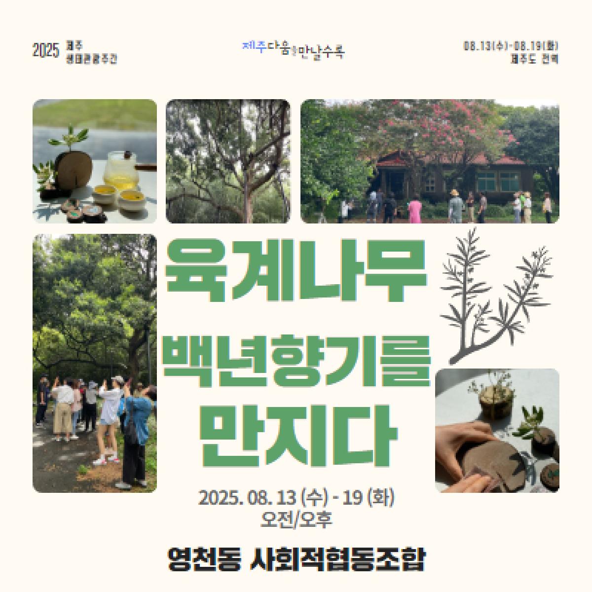 육계나무, 백년향기를 만지다
