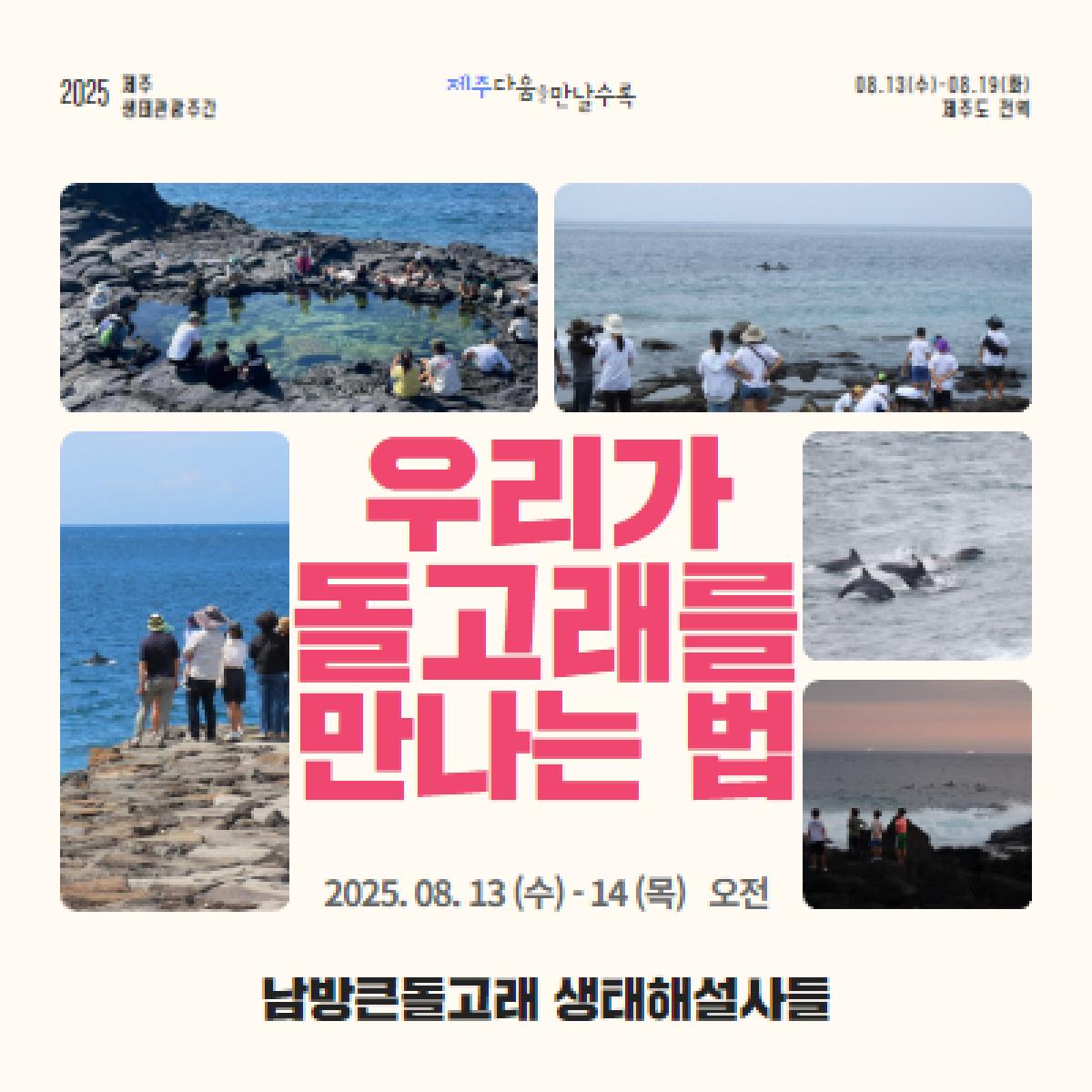 ★최저가★ 우리가 돌고래를 만나는 법