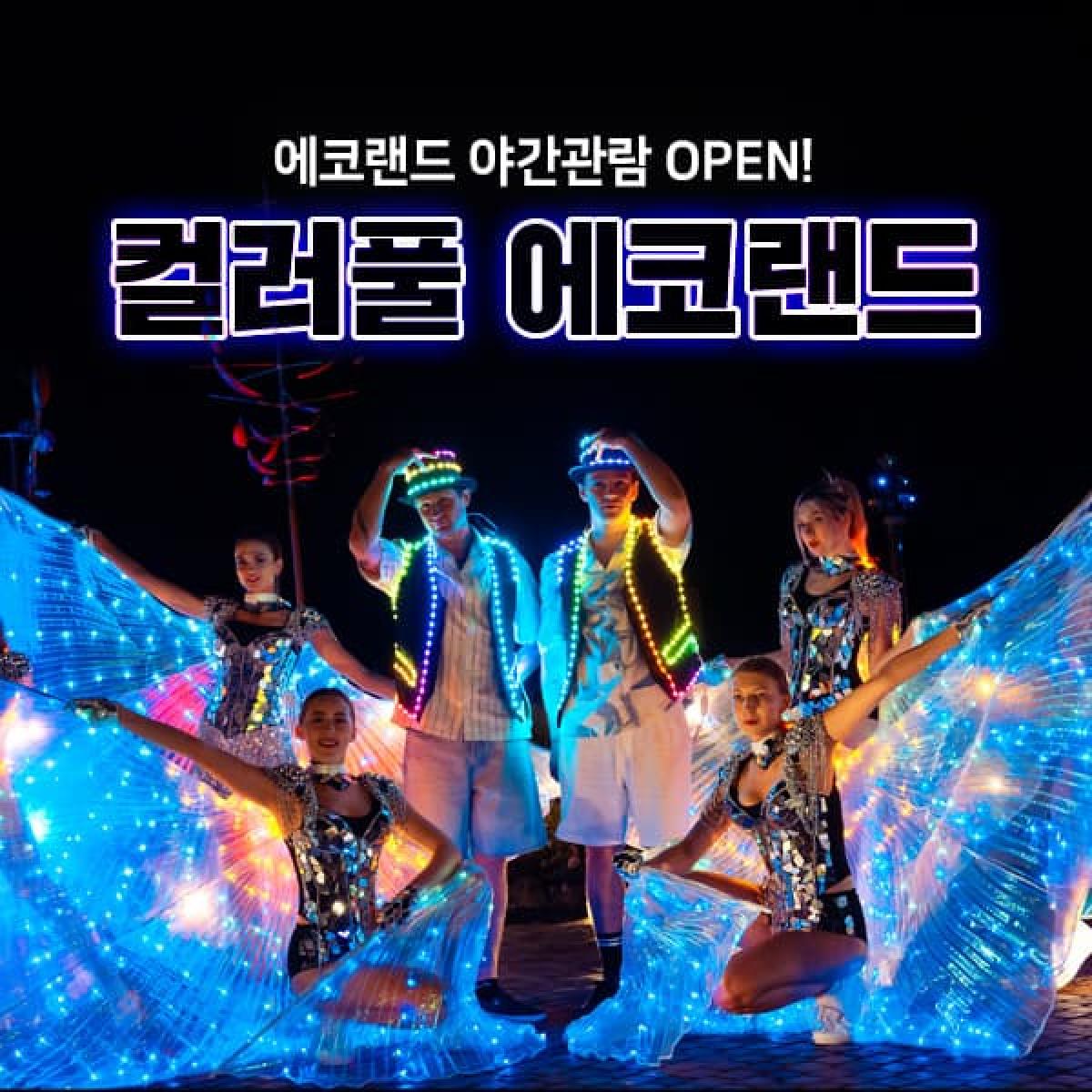 에코랜드 야간권