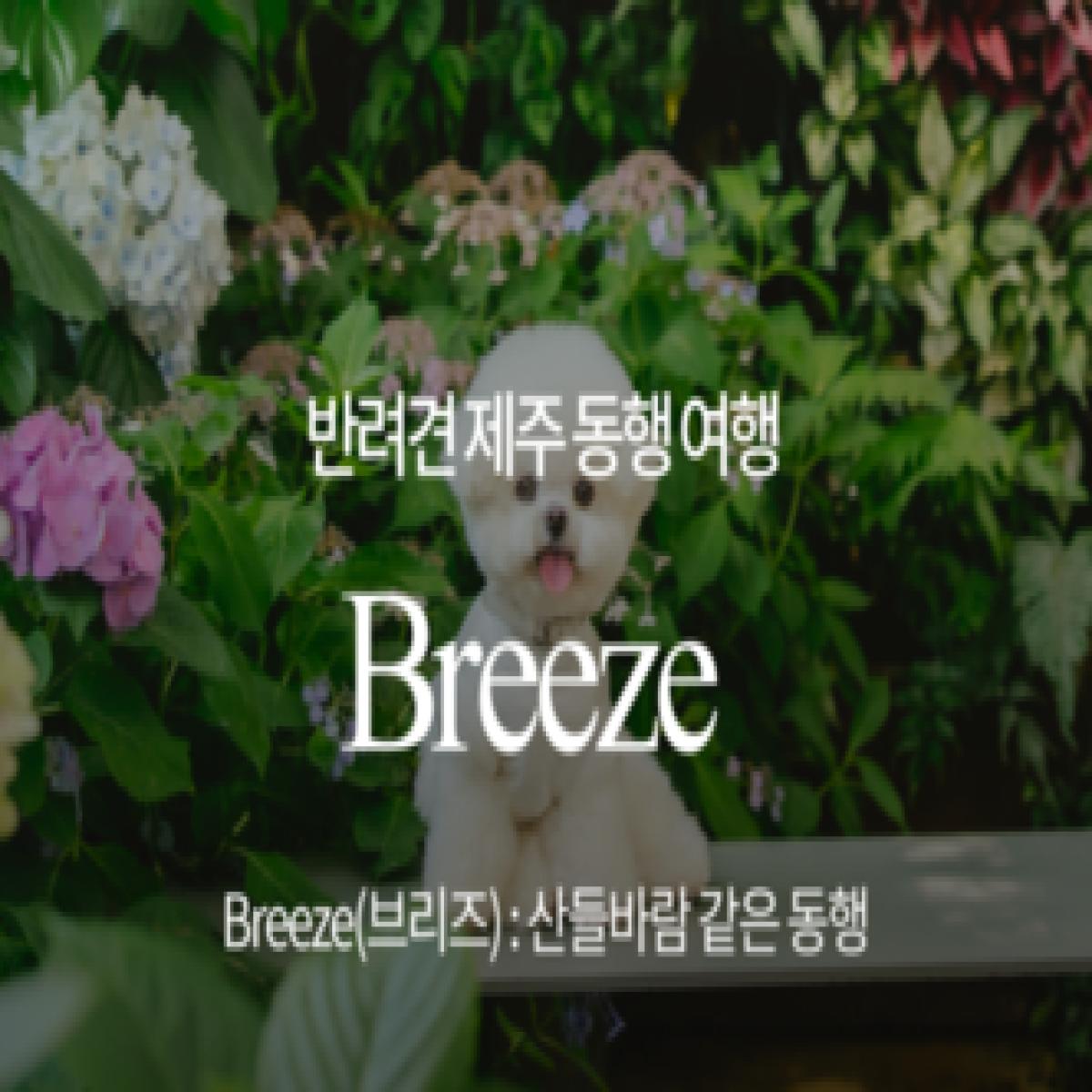 Gobark Breeze