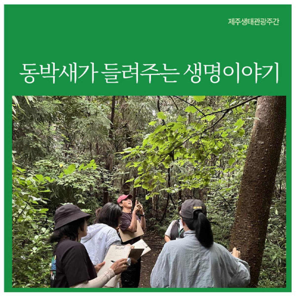[제주생태관광협회] 동박새가 들려주는 생명이야기