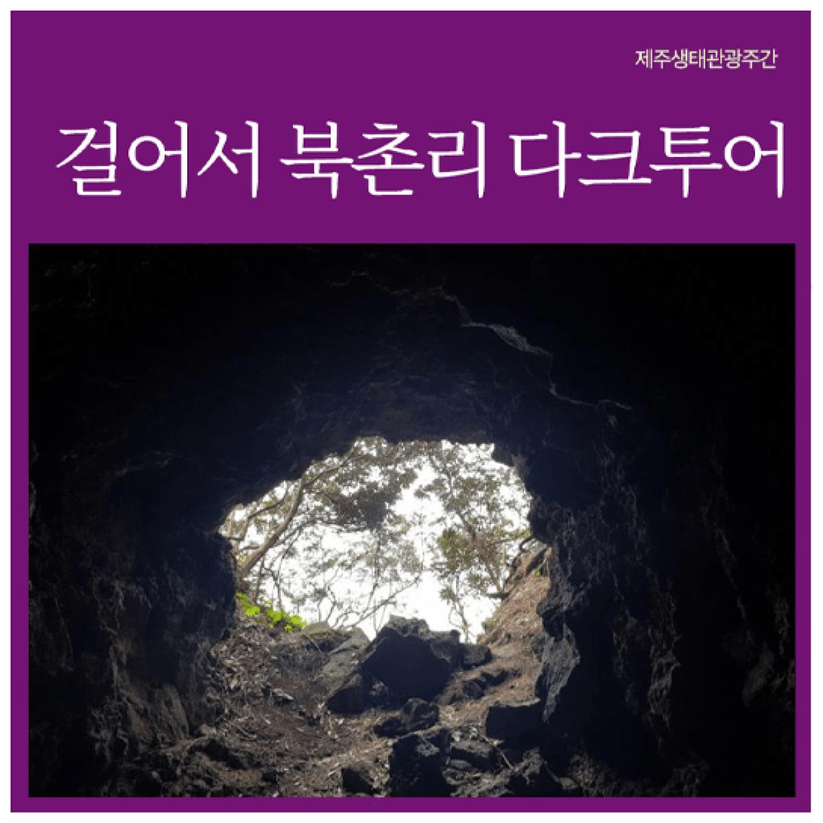 [제주생태관광협회] 걸어서 북촌리 다크투어