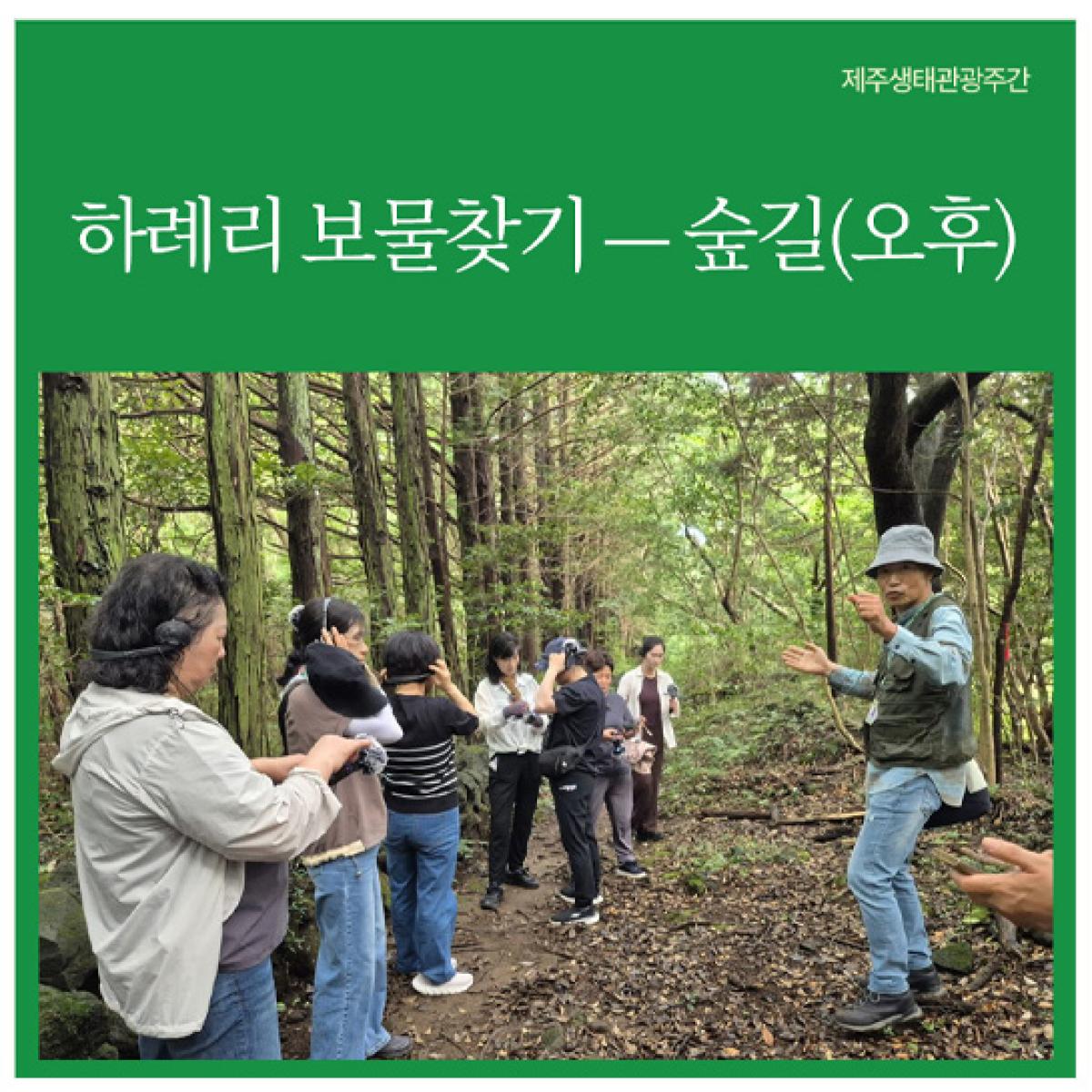 [제주생태관광협회] 하례리 보물찾기 — 숲길(오후)