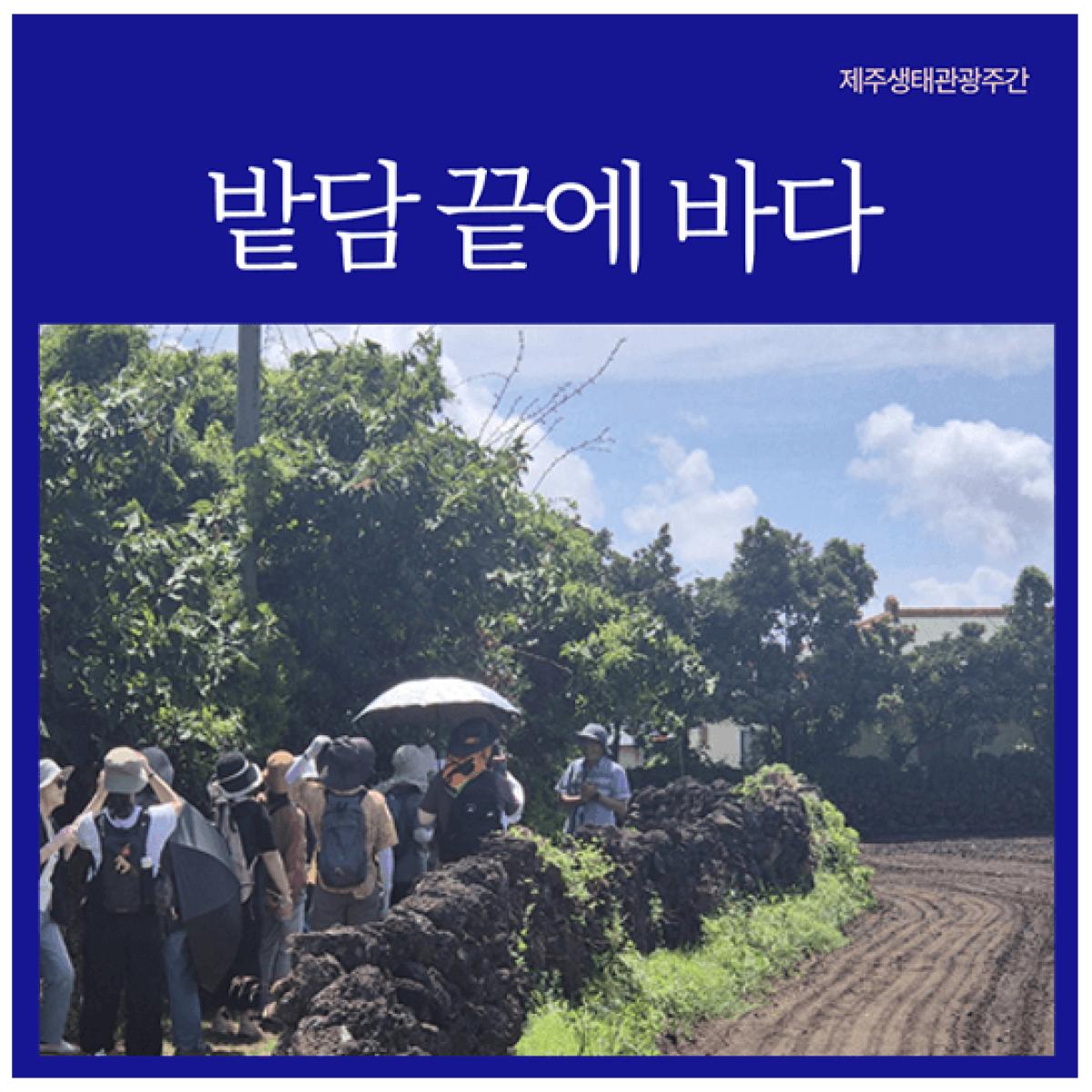 [제주생태관광협회] 밭담 끝에 바다