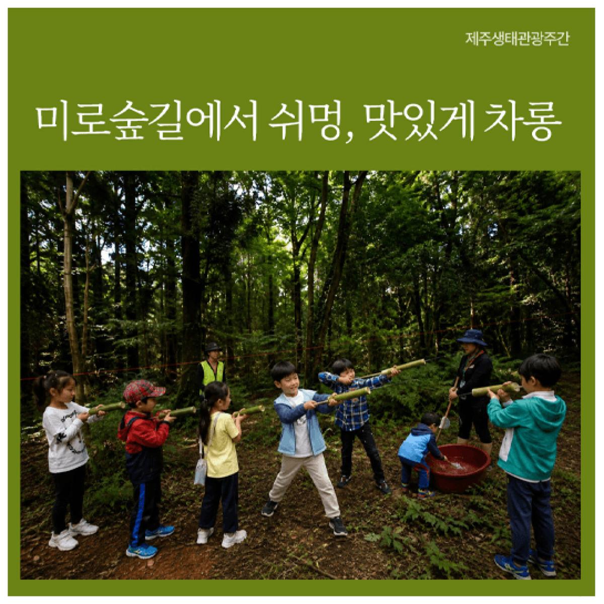 [제주생태관광협회] 미로숲길에서 쉬멍, 맛있게 차롱