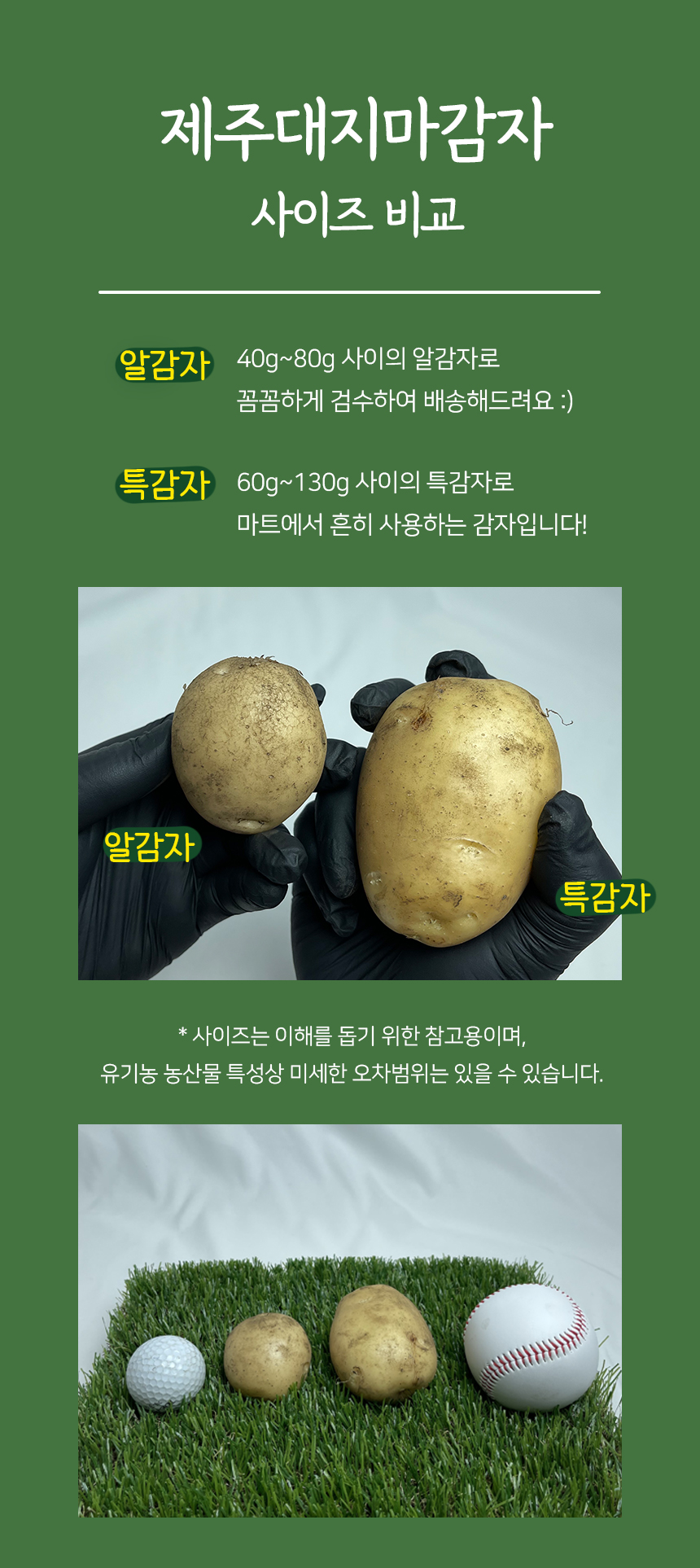 제주 오가닉스 산지직송 유기농 감자 대지마 알감자 상세