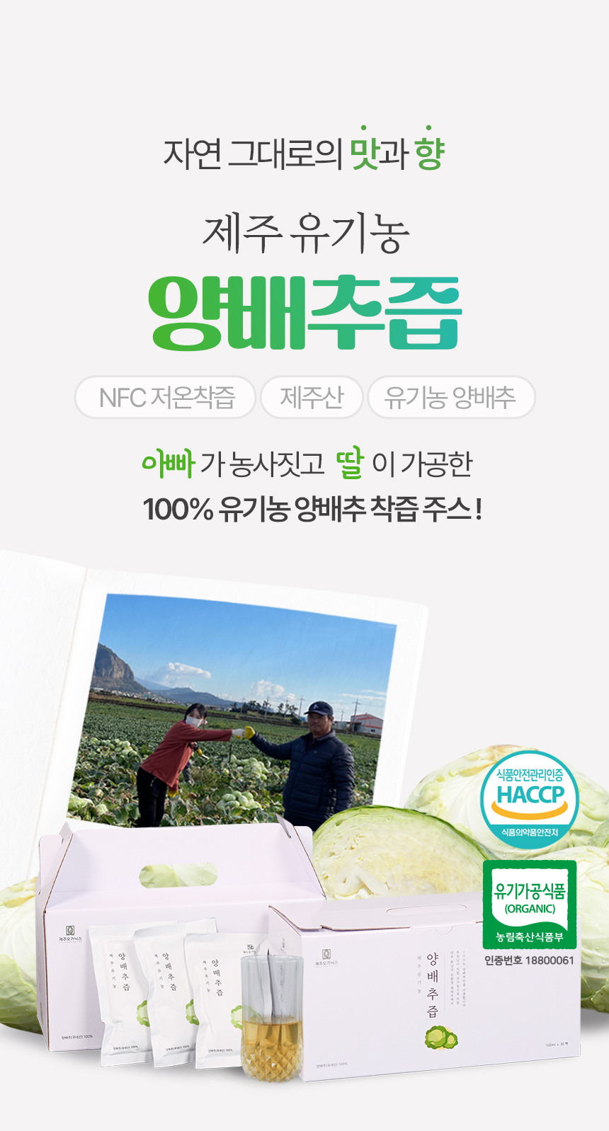 제주 오가닉스 유기농 양배추즙 NFC착즙 주스 상세