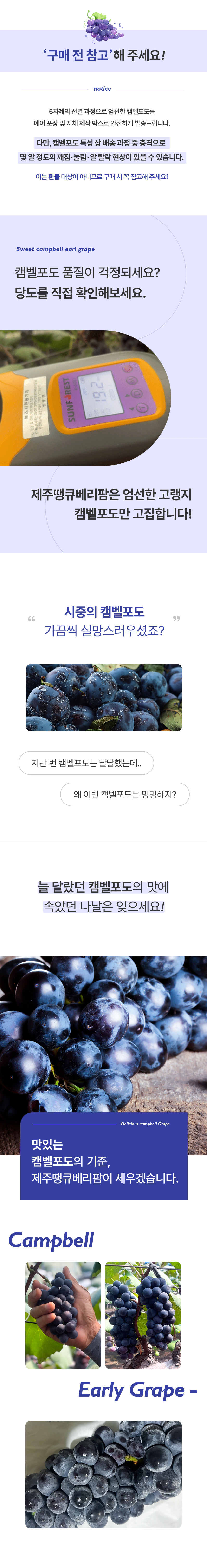 [제주땡큐베리팜] 달콤 산지직송 캠벨포도1kg.2kg 상세