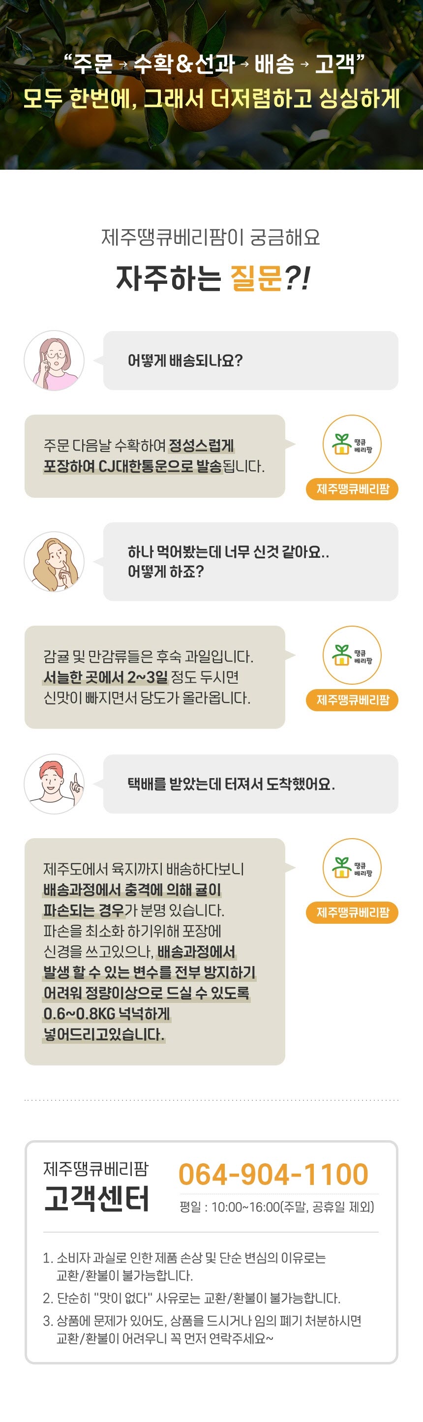 제주도 산지직송 노지감귤 3kg 5kg 10kg 상세