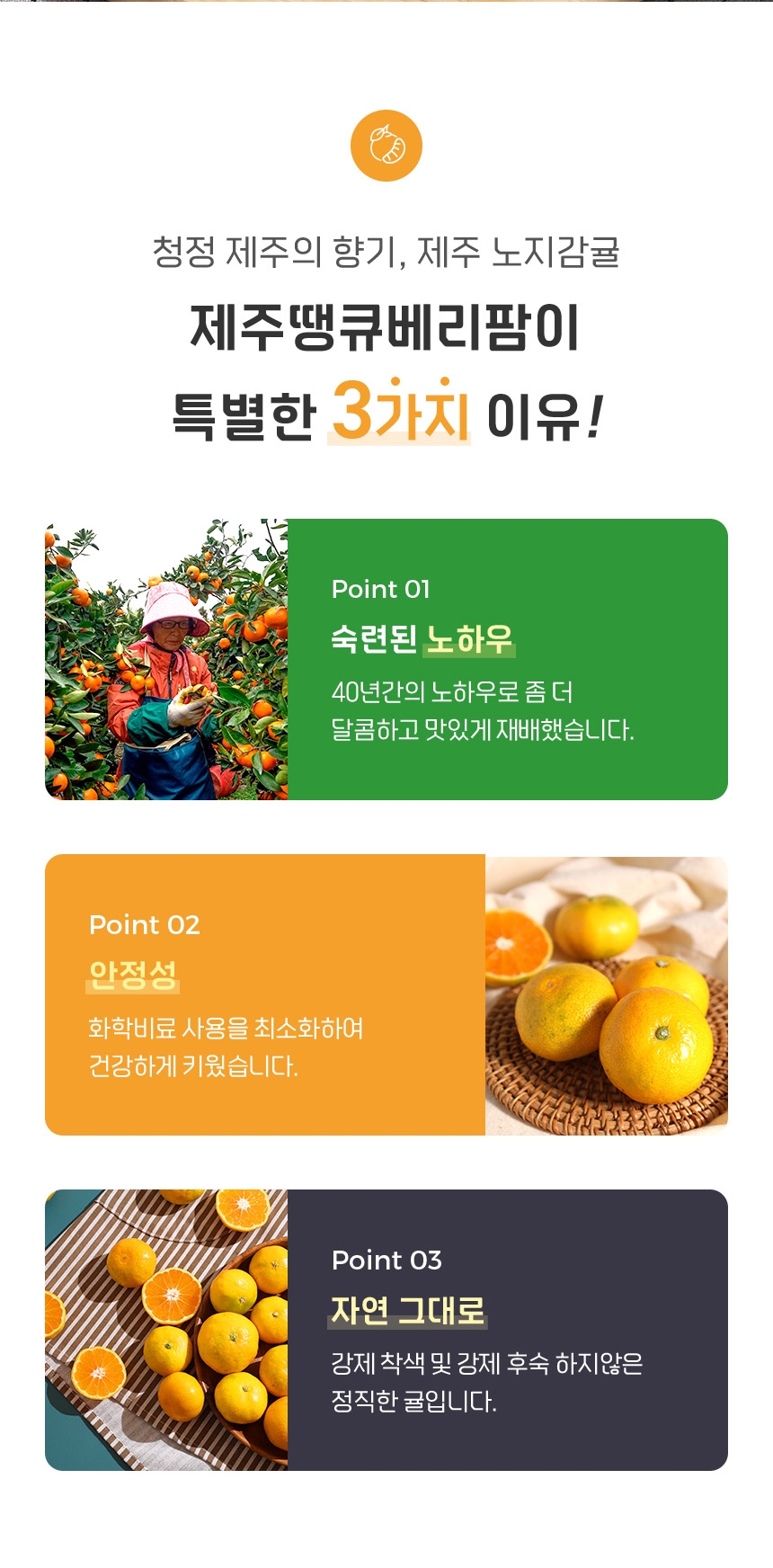 제주도 산지직송 노지감귤 3kg 5kg 10kg 상세