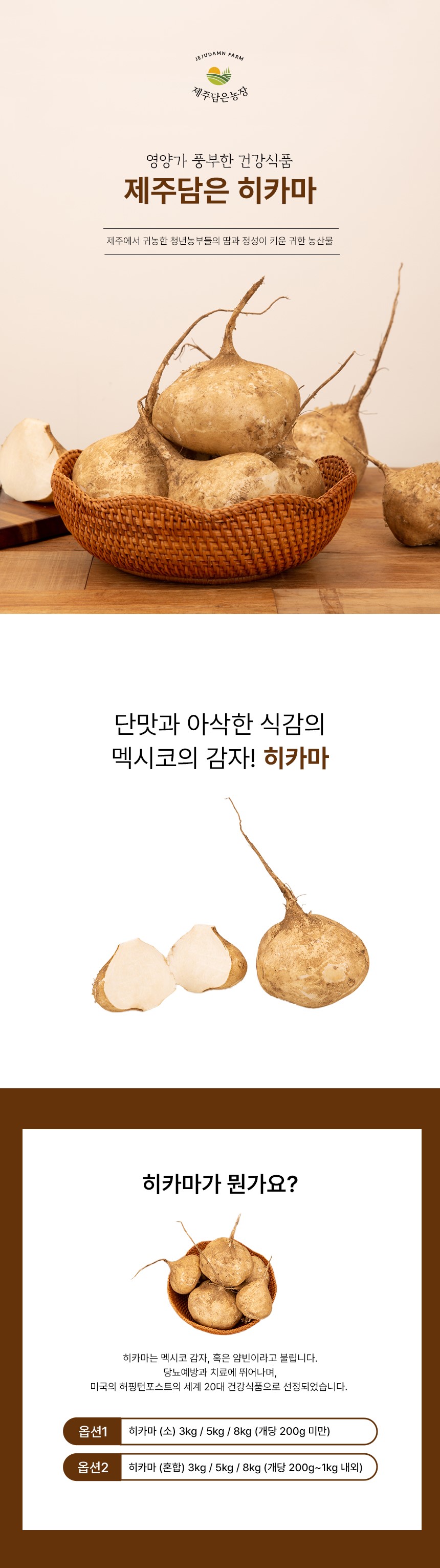 제주담은 히카마(멕시코 감자) 상세