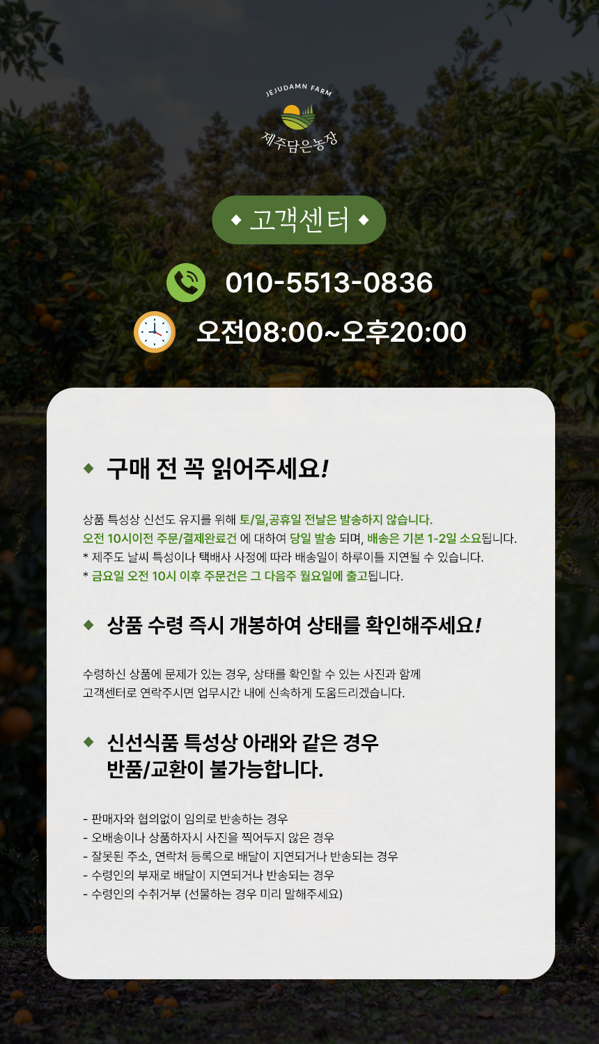 제주담은 히카마(멕시코 감자) 상세