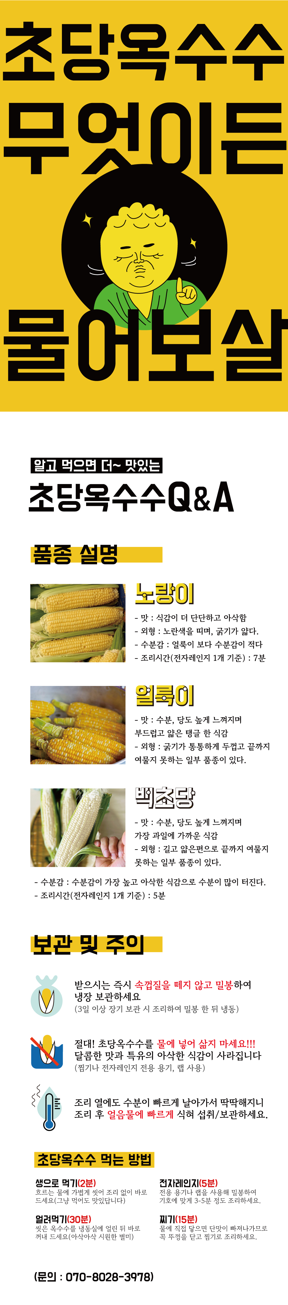 특상품 16cm 제주 애월 초당옥수수