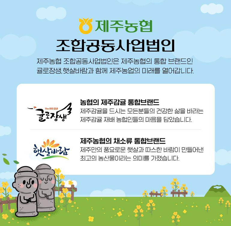 [제주농협] 귤로장생 천혜향 2kg 4kg #소과 중과