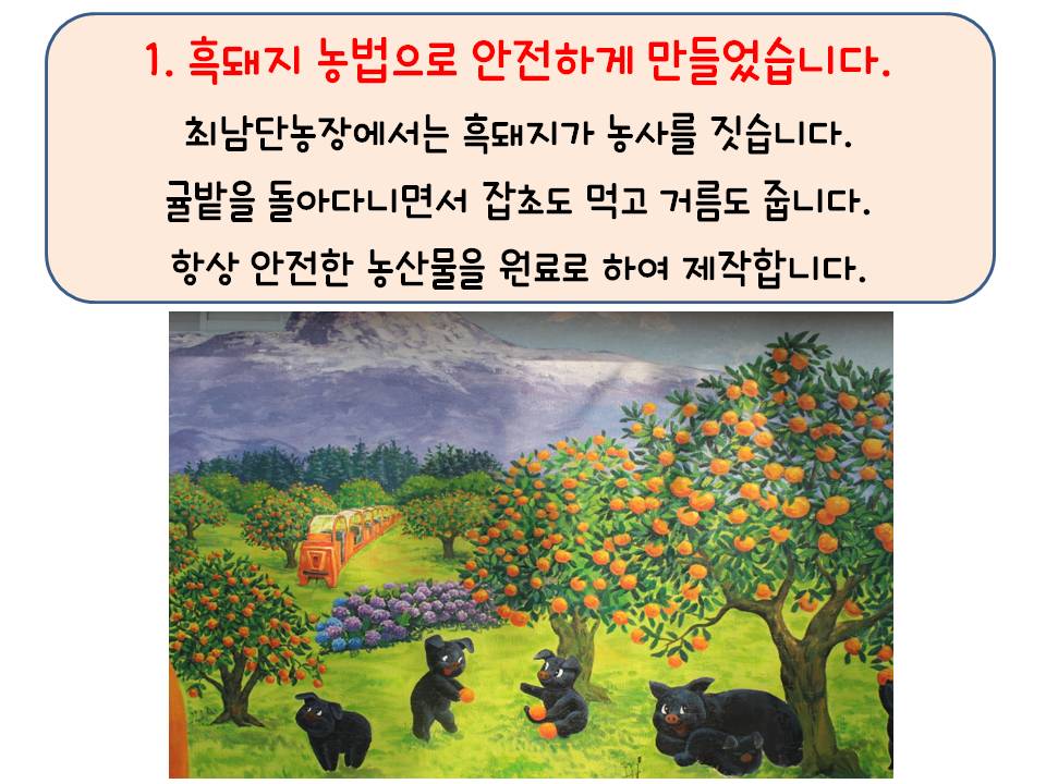 흑돼지가 키운 감귤즙 135ml 상세