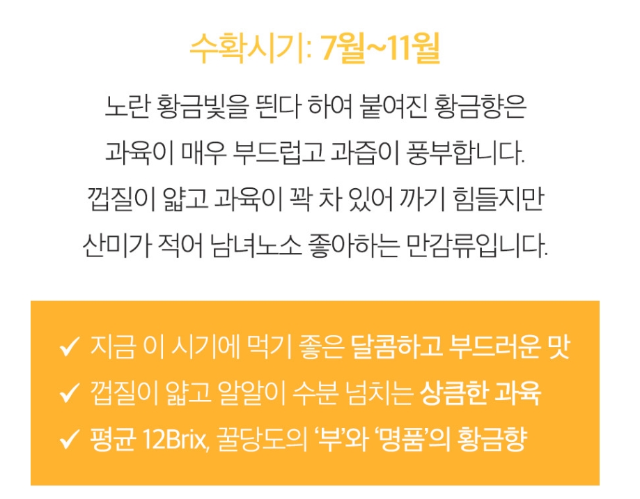 가뫼물 최남단농장 황금향 5kg