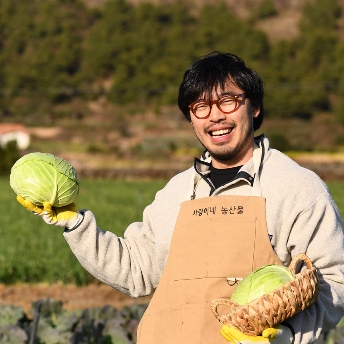 제주유기농 양배추 3kg 6kg(11/25~순차출고)