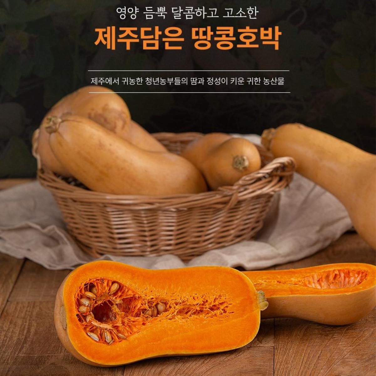 제주담은 땅콩호박