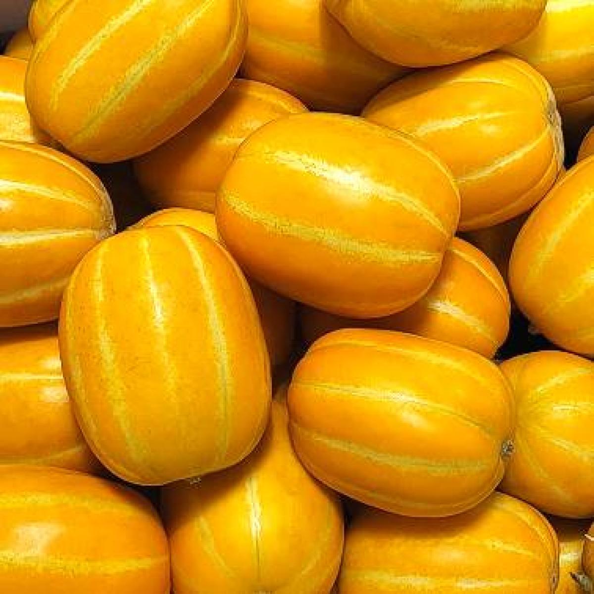 [고당도] 성주 꿀 참외 못난이 혼합과/대과 2kg~