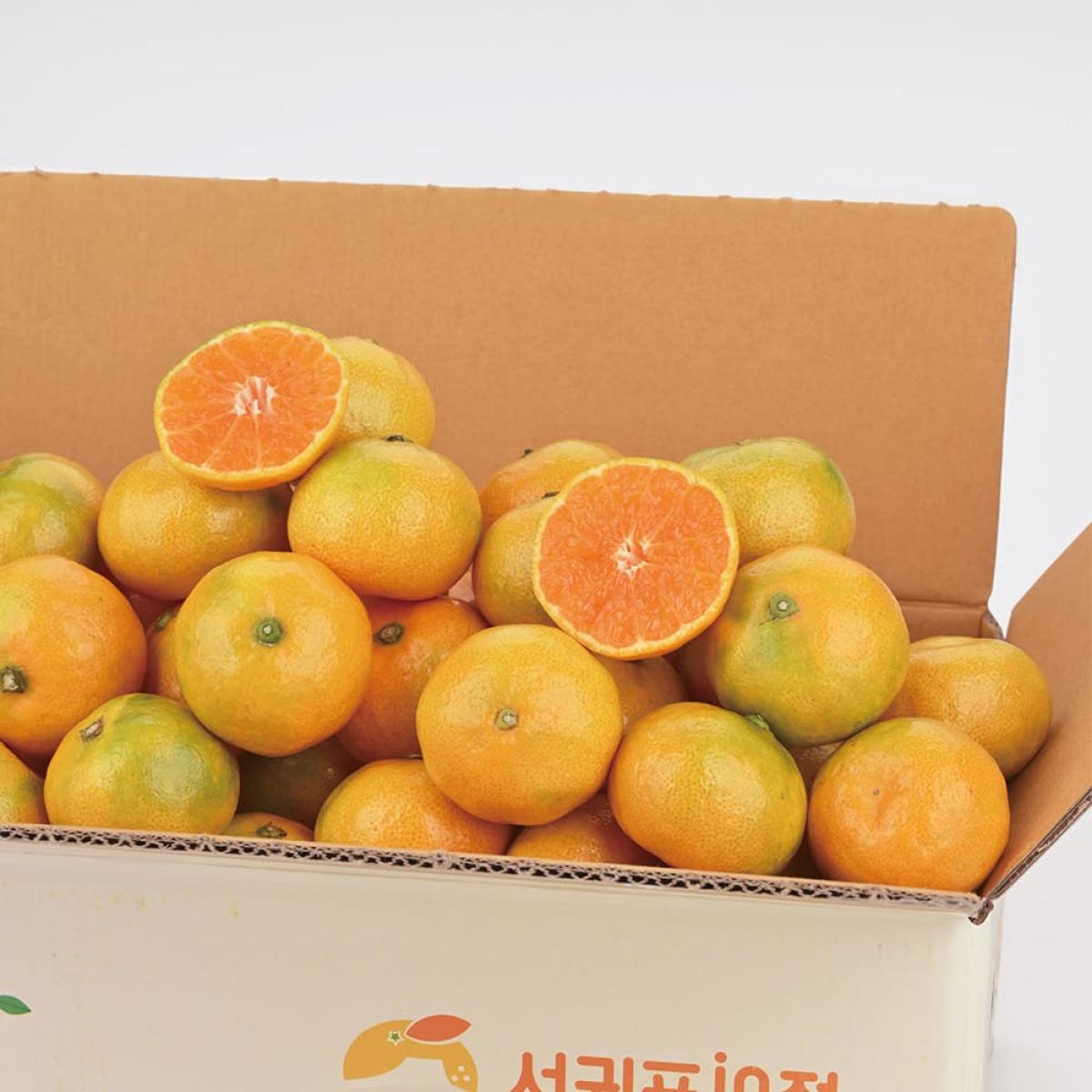 제주 고당도 하우스감귤 1.5kg 중대과/로얄과 외
