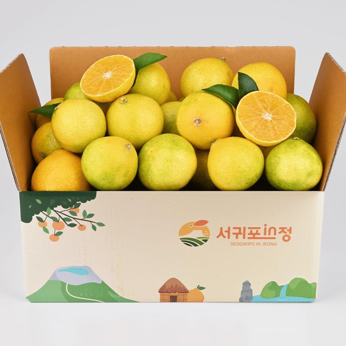 제주 황금향 2.5kg(13-15과)외 (실속/선물용)