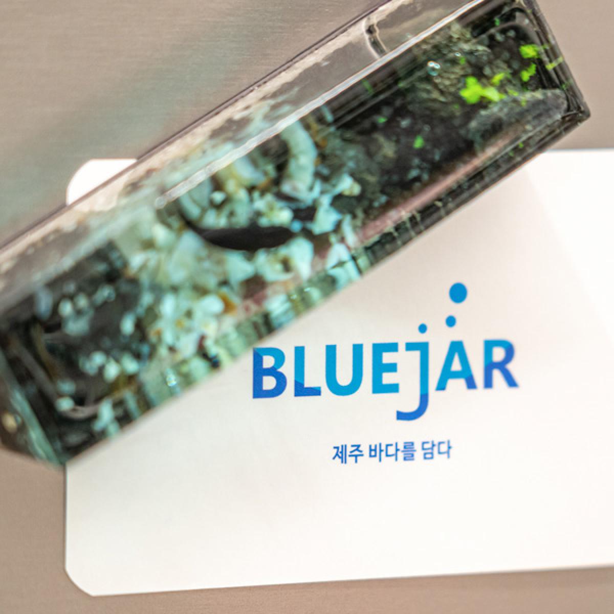 스노클링 제주 자석겸 문진