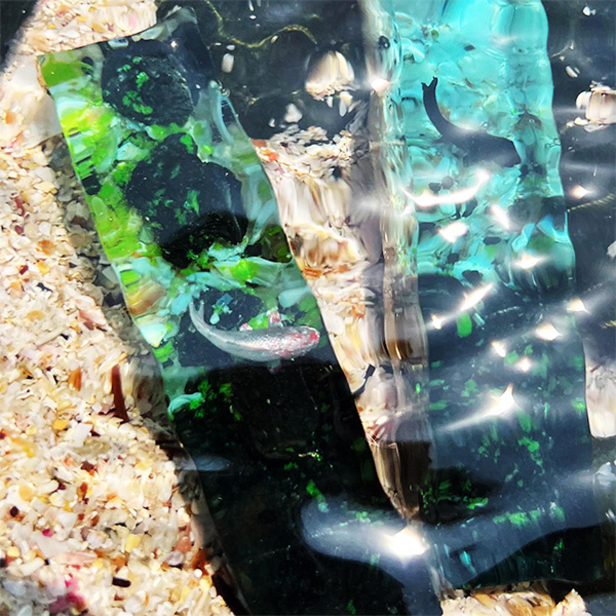 스노클링 제주 자석겸 문진