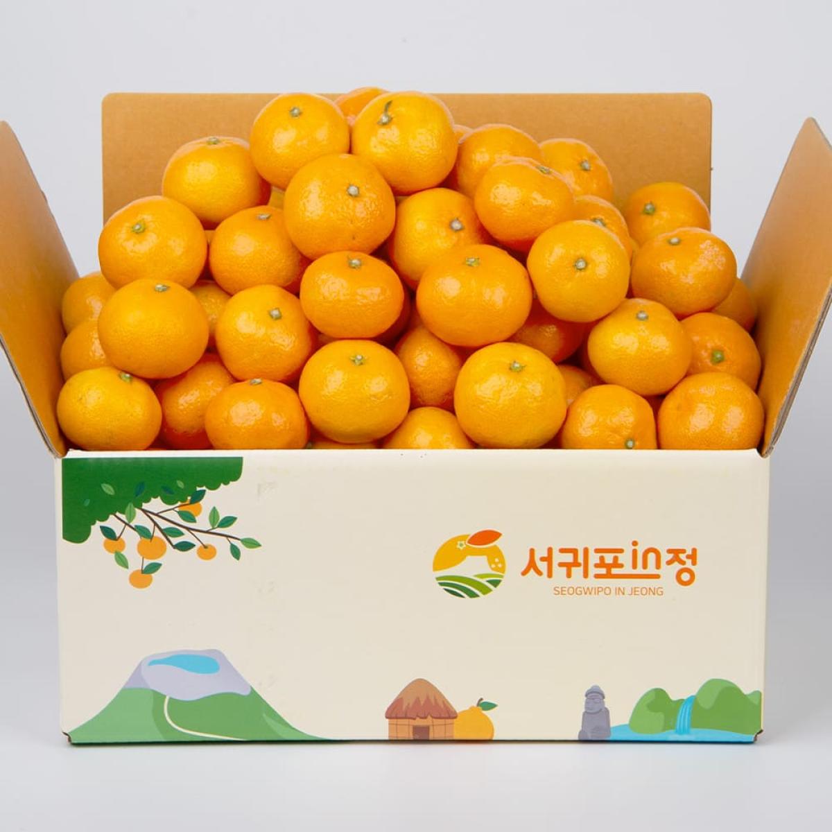 [당도선별] 제주 노지 조생감귤 2.5kg 4.5kg