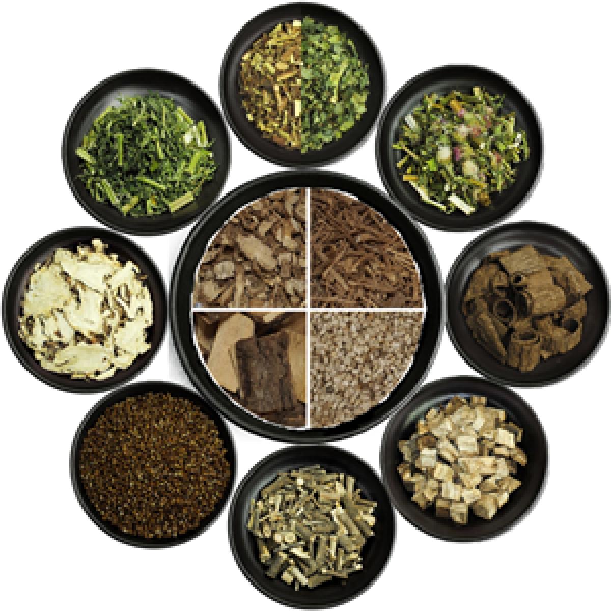 팔팔우슬진액 100ml x 60포