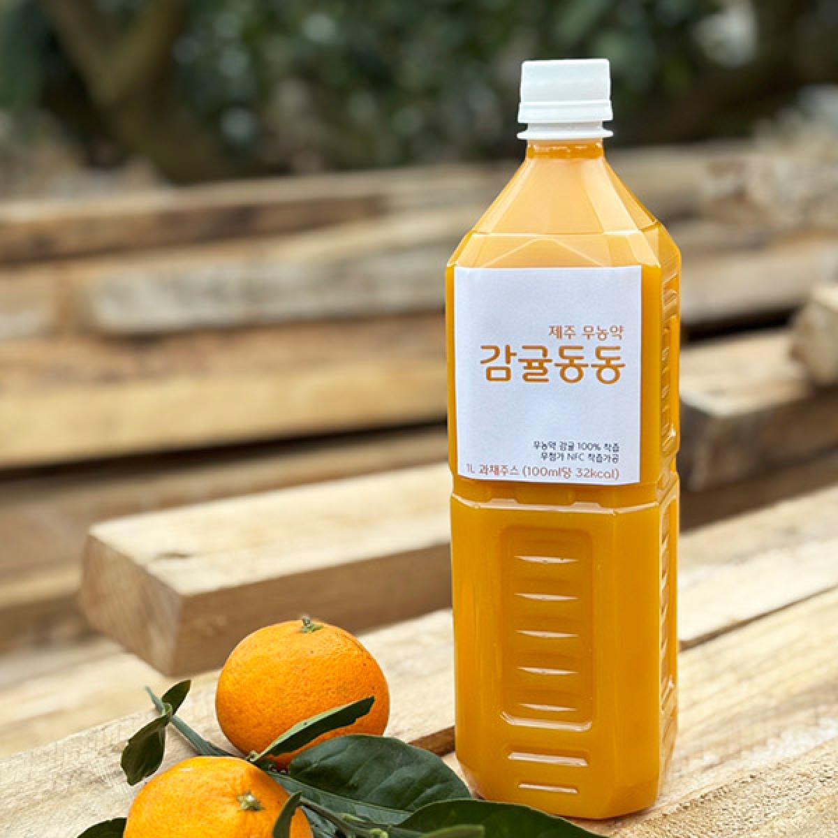 감귤동동